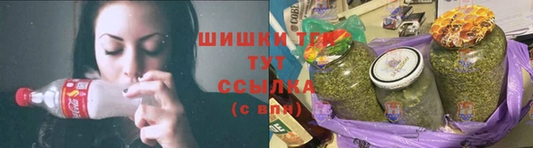 ПСИЛОЦИБИНОВЫЕ ГРИБЫ Балабаново