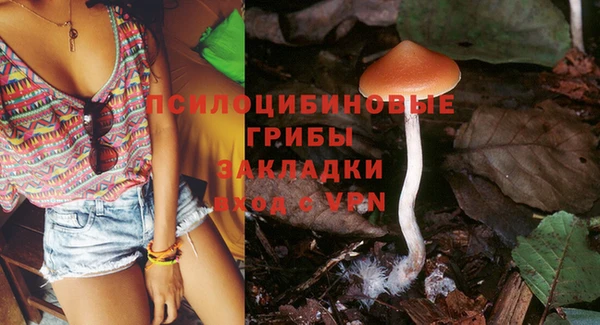 ГАЛЛЮЦИНОГЕННЫЕ ГРИБЫ Баксан