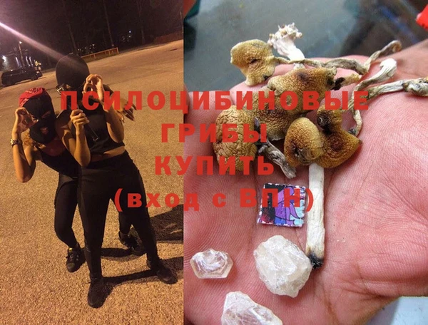 ПСИЛОЦИБИНОВЫЕ ГРИБЫ Балабаново