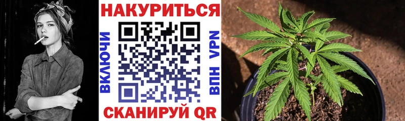 маркетплейс наркотические препараты  Рассказово  Каннабис Bruce Banner 